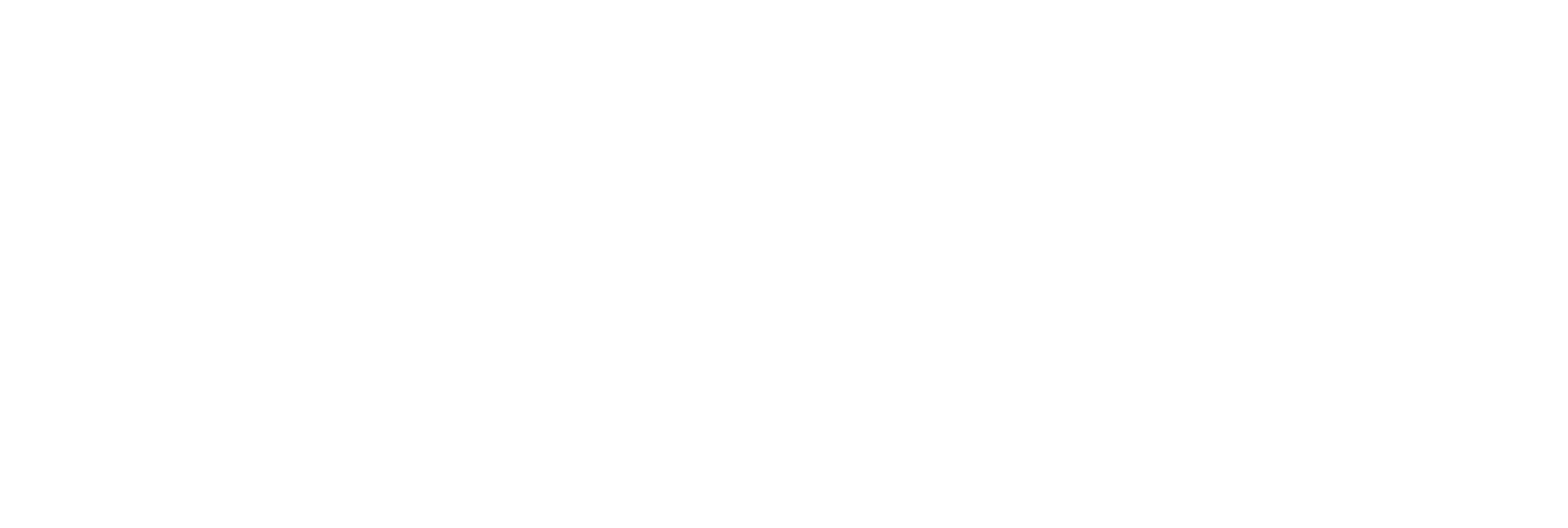 Dornier Logo Horizontal White.png