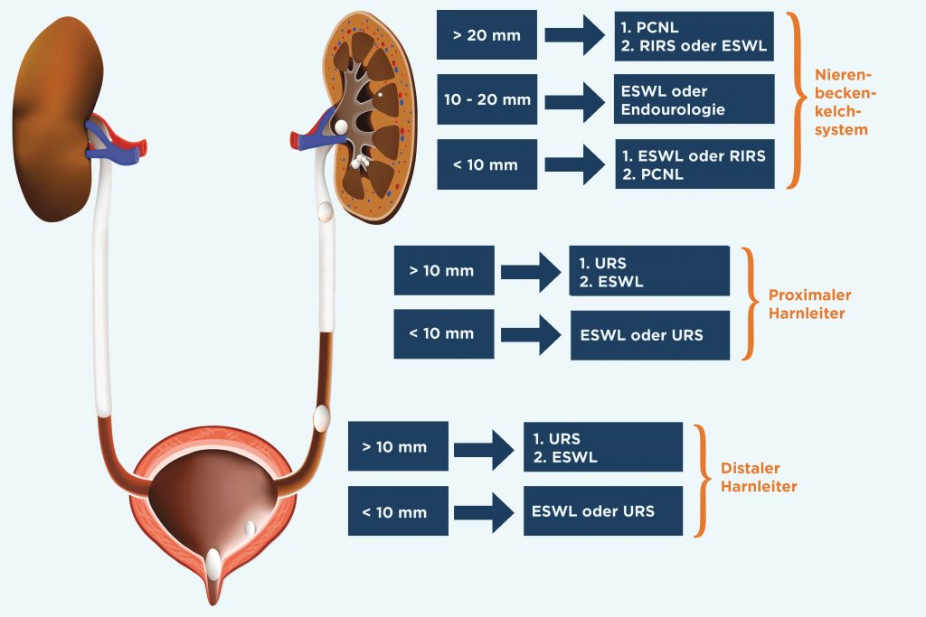 Procedure Options